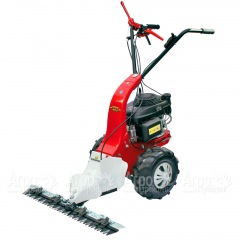 Бензиновая сенокосилка Eurosystems Minieffe 502 RM B&#38;S 625EXi в Нижнем Новгороде