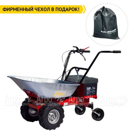 Самоходная тележка Eurosystems Carry Electric 300W-24V  в Нижнем Новгороде