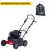 Скарификатор Eurosystems SC42B c двигателем Briggs&amp;Stratton 450 series в Нижнем Новгороде