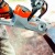 Аккумуляторная пила Stihl MSA 140 C-BQ-12 в Нижнем Новгороде